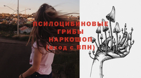 mix Алексин